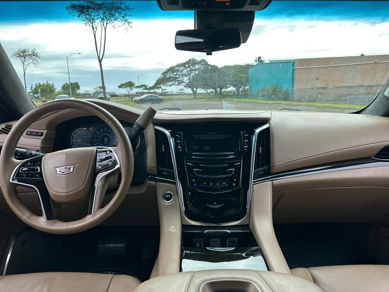 2018 Cadillac Escalade ESV 4WD 4dr Platinum - 22980793 - 13