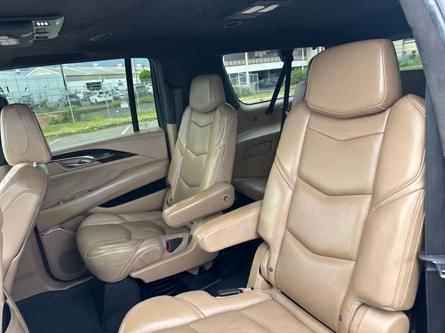 2018 Cadillac Escalade ESV 4WD 4dr Platinum - 22980793 - 14