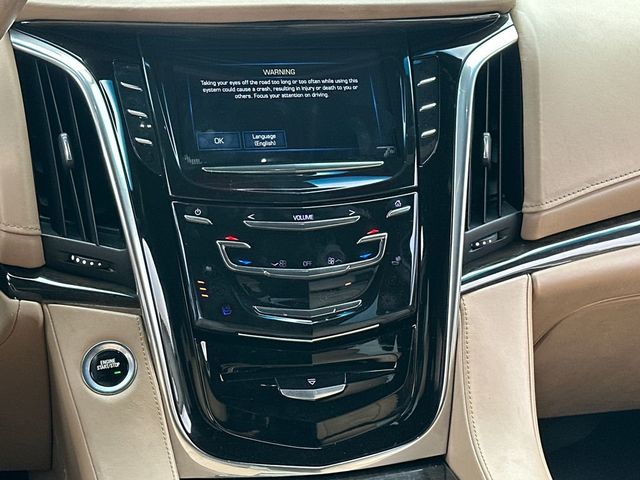 2018 Cadillac Escalade ESV 4WD 4dr Platinum - 22980793 - 15