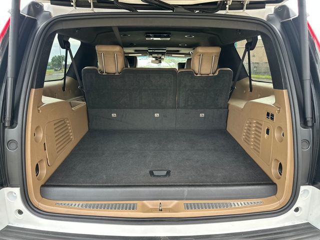 2018 Cadillac Escalade ESV 4WD 4dr Platinum - 22980793 - 20