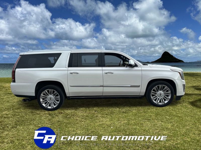 2018 Cadillac Escalade ESV 4WD 4dr Platinum - 22980793 - 8