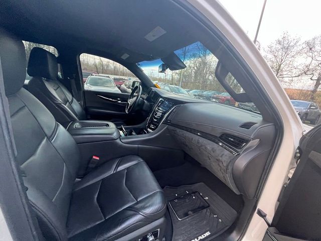 2018 Cadillac Escalade ESV 4WD 4dr Platinum - 23008586 - 10