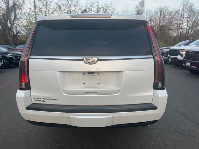 2018 Cadillac Escalade ESV 4WD 4dr Platinum - 23008586 - 5
