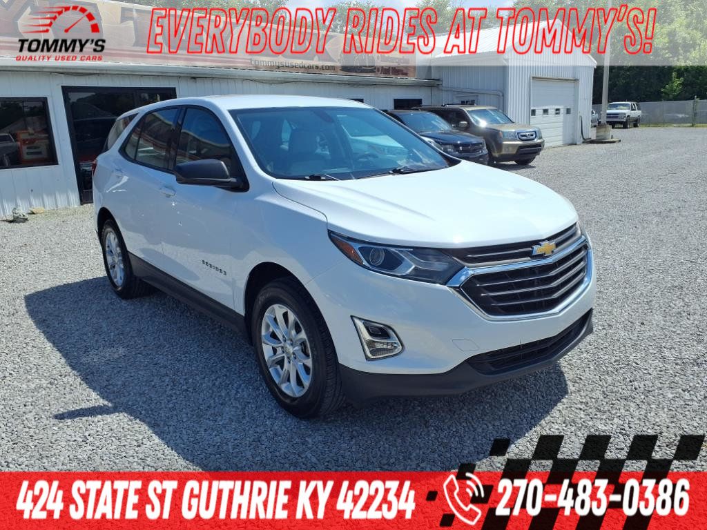 2018 Chevrolet Equinox LS - 22891061 - 0