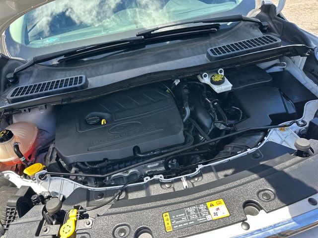 2018 Ford Escape SE FWD - 23059502 - 20