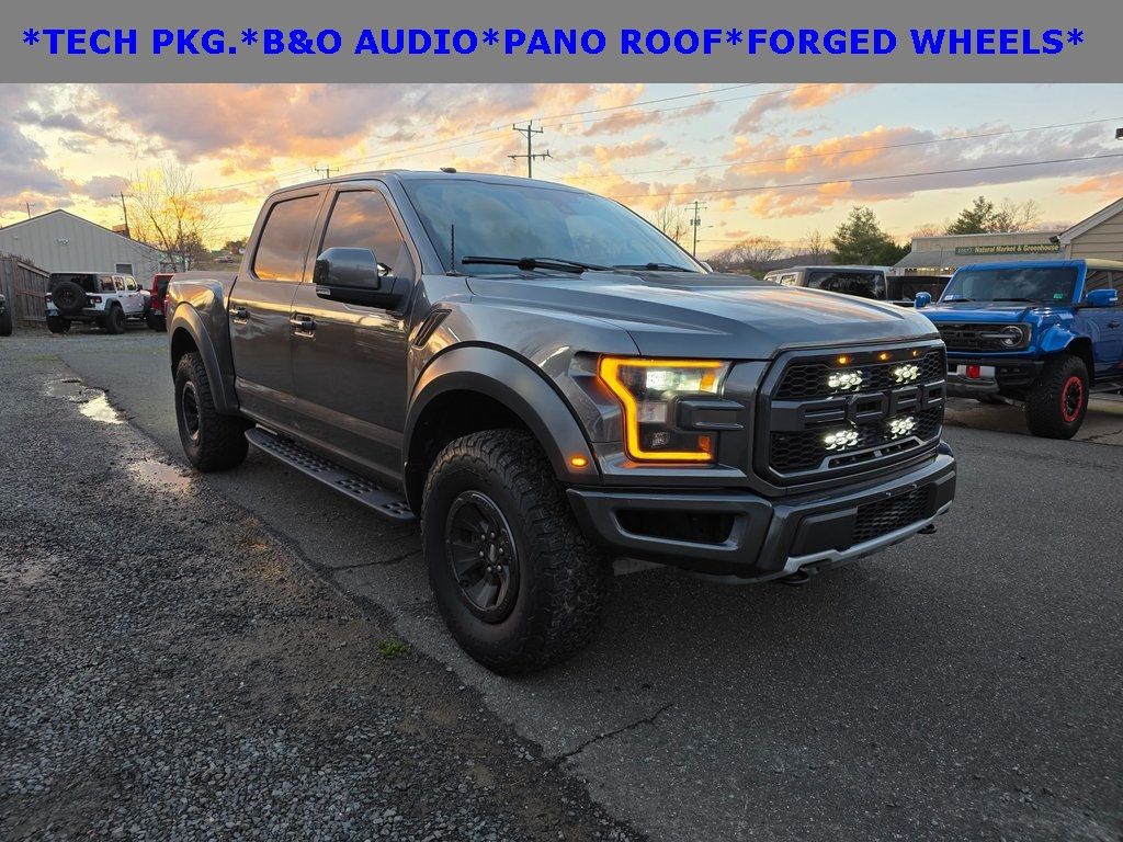 2018 Ford F-150 Raptor - 22952451 - 0