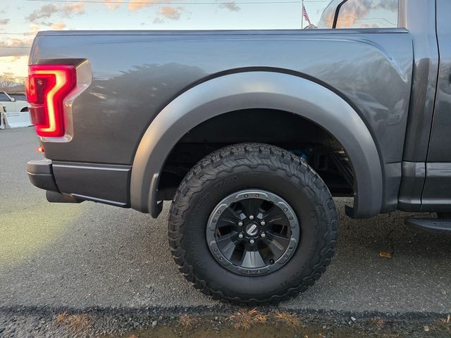 2018 Ford F-150 Raptor - 22952451 - 14