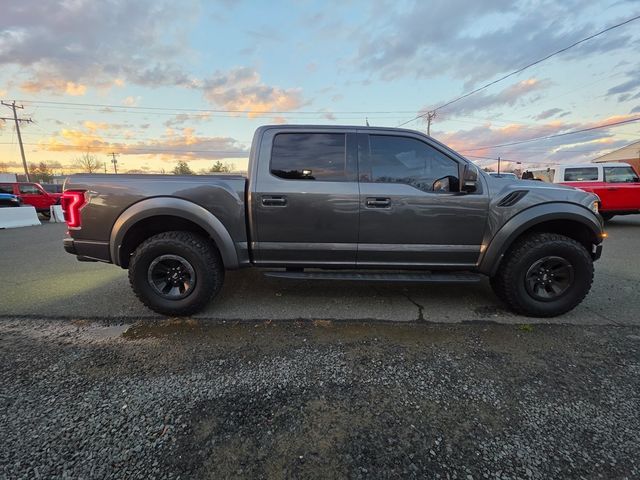 2018 Ford F-150 Raptor - 22952451 - 16