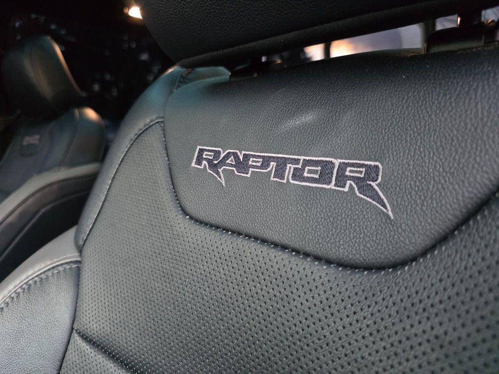 2018 Ford F-150 Raptor - 22952451 - 25