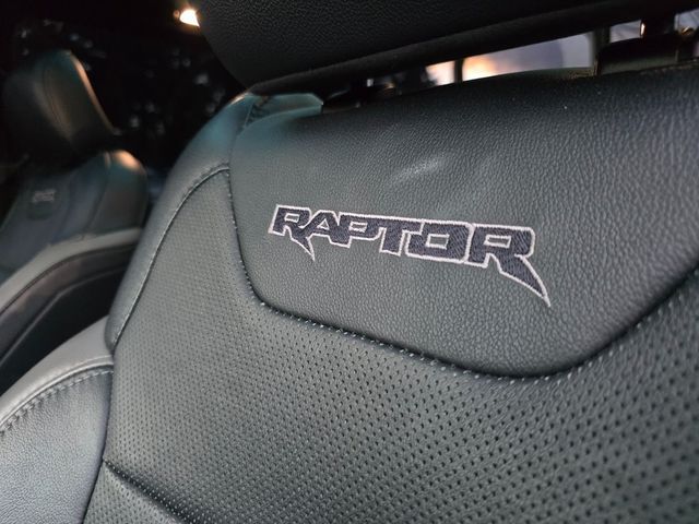 2018 Ford F-150 Raptor - 22952451 - 25