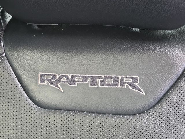 2018 Ford F-150 Raptor 4WD SuperCrew 5.5' Box - 23041883 - 6