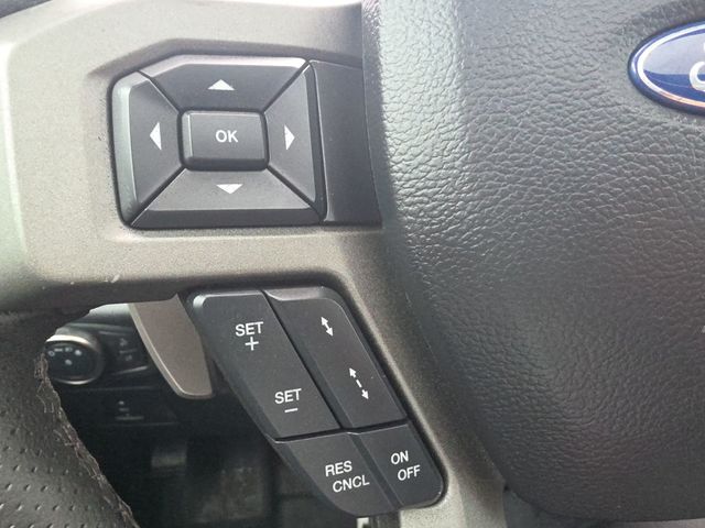 2018 Ford F-150 Raptor 4WD SuperCrew 5.5' Box - 23011132 - 31