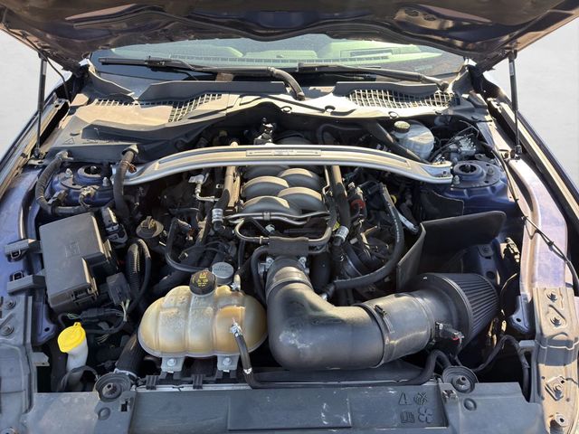 2018 Ford Mustang 5.0 GT PREMIUM, MANUAL TRANS, RECARO SEATS, NAVI SYSTEM,SPOILER! - 22975201 - 24