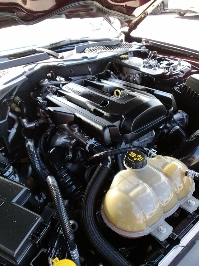 2018 Ford Mustang EcoBoost Convertible - 23027020 - 25