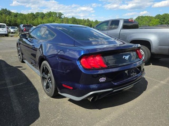 2018 Ford Mustang EcoBoost Fastback - 23039456 - 3
