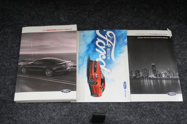 2018 Ford Mustang EcoBoost Fastback - 22896674 - 19