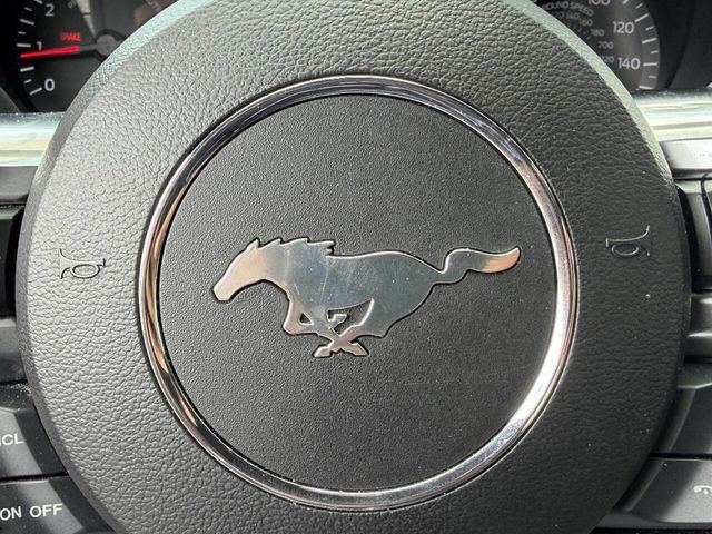 2018 Ford Mustang EcoBoost Fastback - 23048959 - 15
