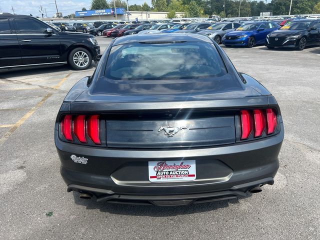 2018 Ford Mustang EcoBoost Fastback - 23083764 - 4