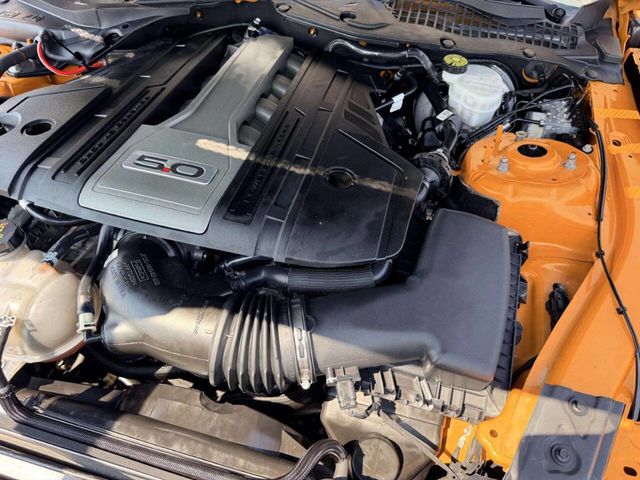 2018 Ford Mustang GT Fastback - 23060125 - 14