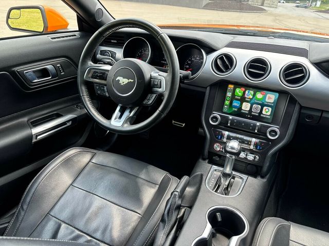 2018 Ford Mustang GT Premium Fastback - 23047793 - 19
