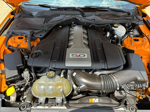 2018 Ford Mustang GT Premium Fastback - 23047793 - 36