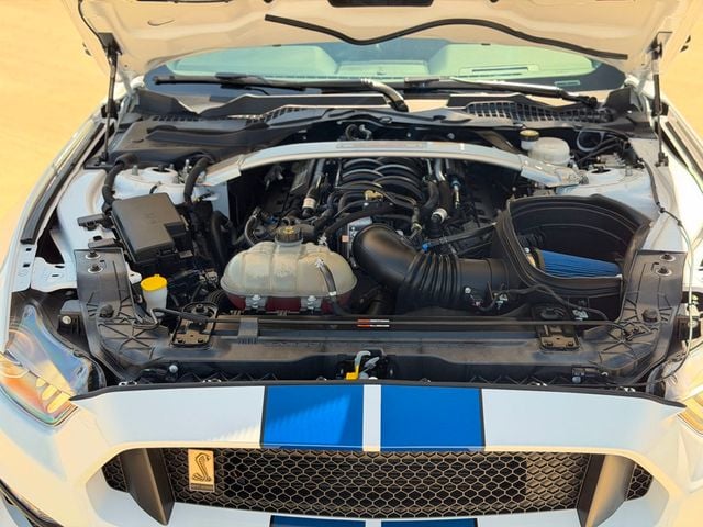 2018 Ford Mustang Shelby GT350 Fastback - 23054157 - 31