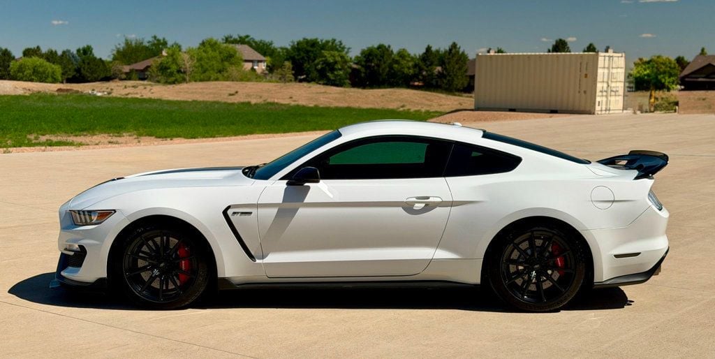 2018 Ford Mustang Shelby GT350 Fastback - 23054157 - 7