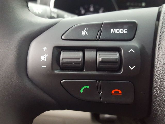 2018 Kia Sedona LX Essentials Premium Package - 18291719 - 17