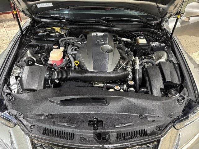 2018 Lexus IS IS 300 F Sport RWD - 22927019 - 10