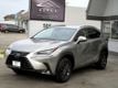 2018 Lexus NX NX 300 AWD - 23043709 - 3