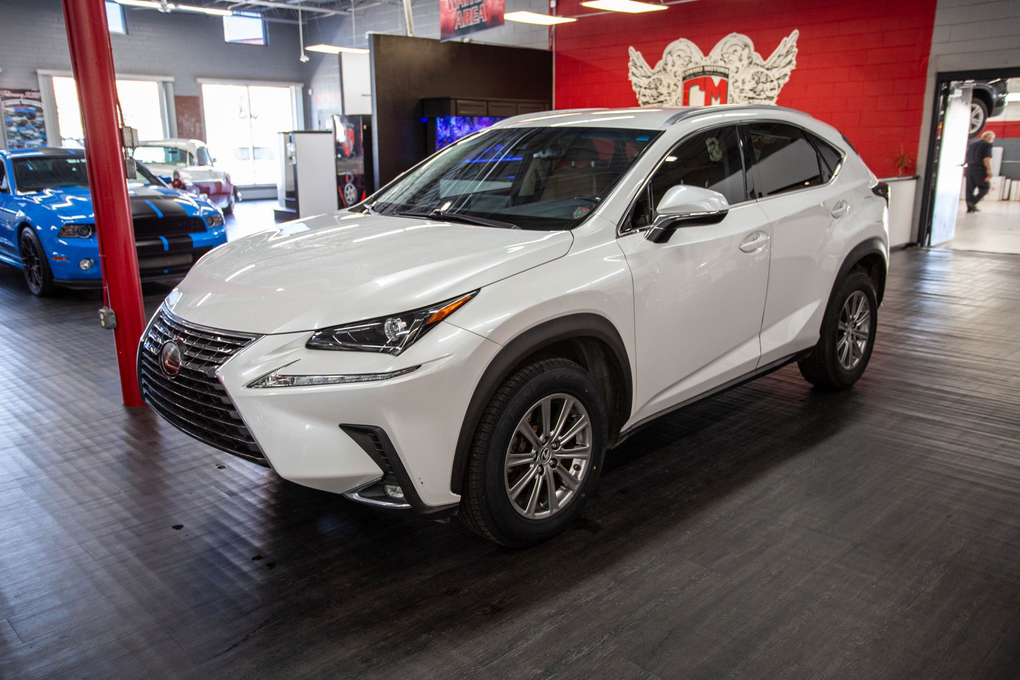 2018 Lexus NX 300 Luxury photo 3