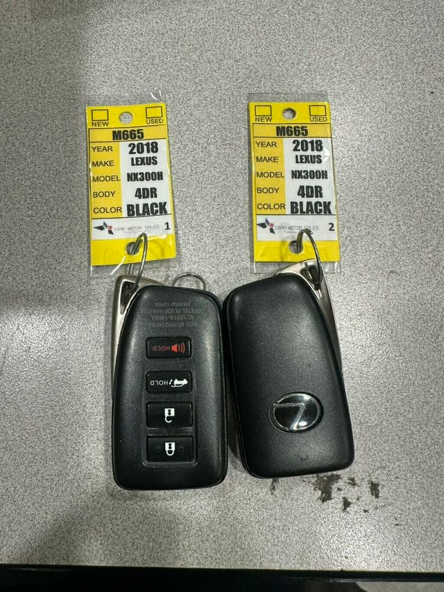 2018 Lexus NX NX 300h AWD - 23067563 - 5