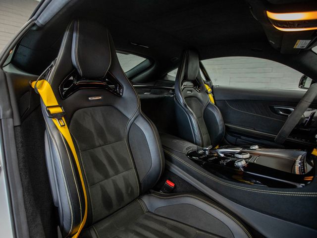 2018 Mercedes-Benz AMG GT AMG GT R Coupe - 22963890 - 33