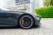 2018 Mercedes-Benz AMG GT AMG GT R Coupe - 23067684 - 33