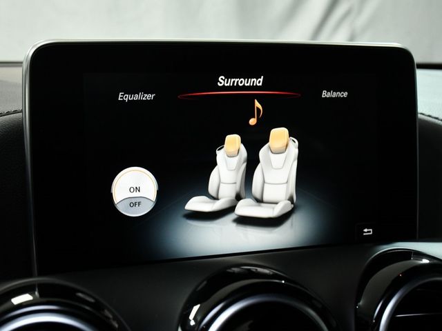 2018 Mercedes-Benz AMG GT Base - 22951014 - 32