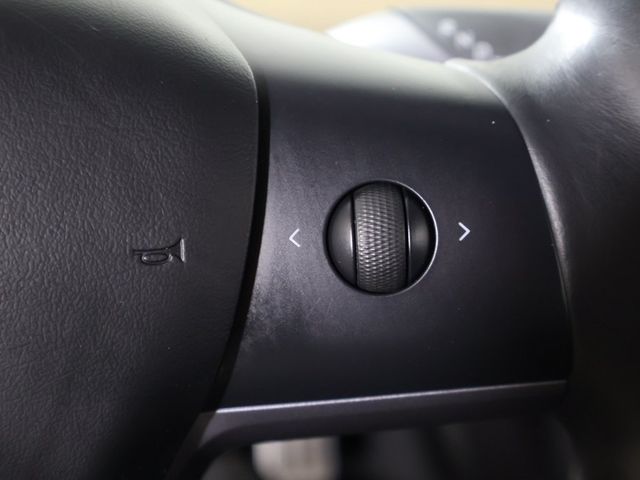 2018 Tesla Model 3 Long Range Battery RWD - 22972730 - 38