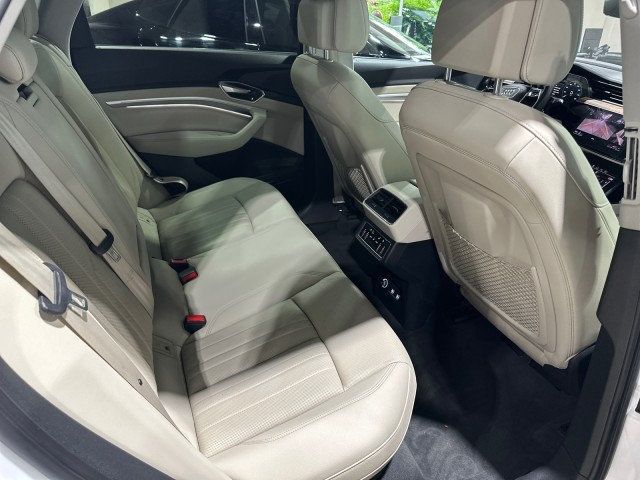 2019 Audi e-tron Premium Plus - 22434344 - 19
