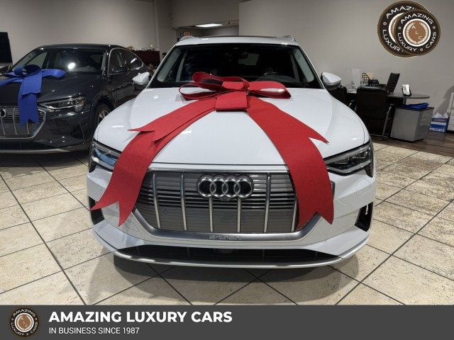 2019 Audi e-tron