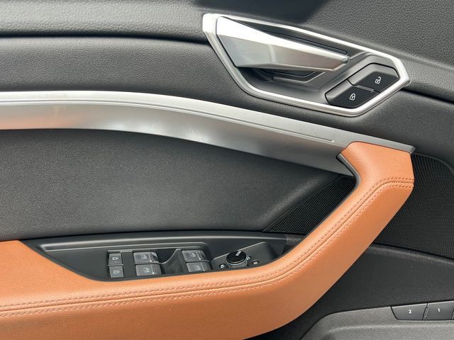 2019 Audi e-tron Premium Plus - 23024610 - 10