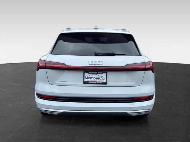 2019 Audi e-tron Premium Plus - 23024610 - 3