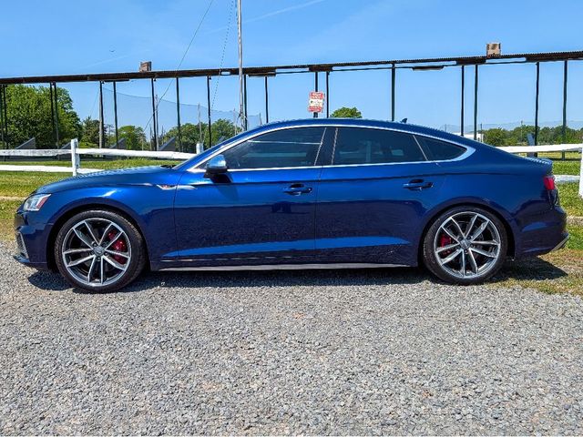 2019 Audi S5 Sportback Premium Plus - 23015305 - 8