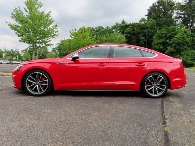 2019 Audi S5 Sportback Premium Plus 3.0 TFSI quattro - 23038827 - 4