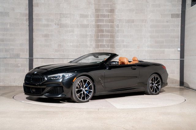 2019 BMW 8 Series M850i xDrive - 22999351 - 6