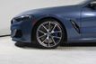 2019 BMW 8 Series M850i xDrive - 22989833 - 24