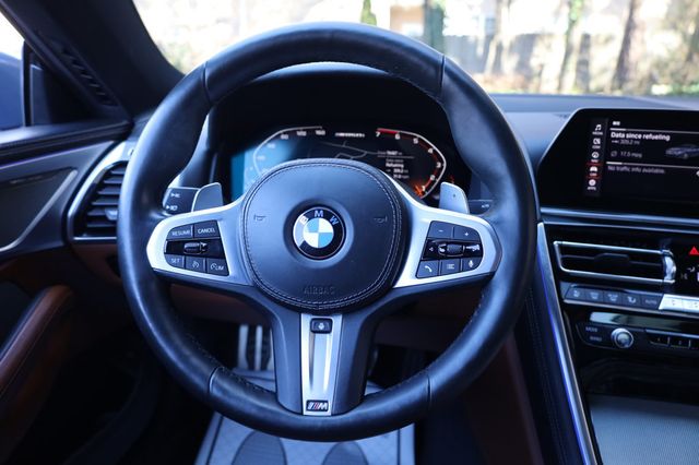 2019 BMW 8 Series M850i xDrive - 22969251 - 25