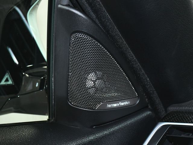 2019 BMW M4 Base - 23065823 - 31