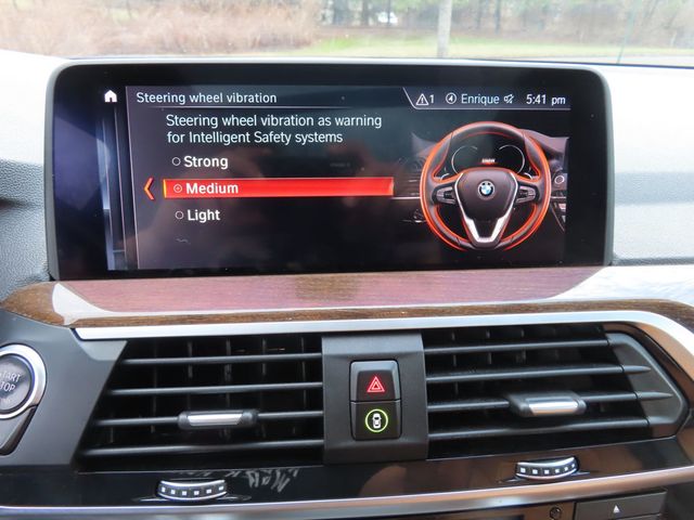 2019 BMW X3 xDrive30i Sports Activity Vehicle - 22996307 - 41