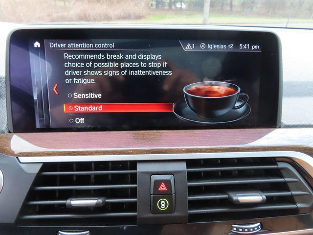 2019 BMW X3 xDrive30i Sports Activity Vehicle - 22996307 - 42