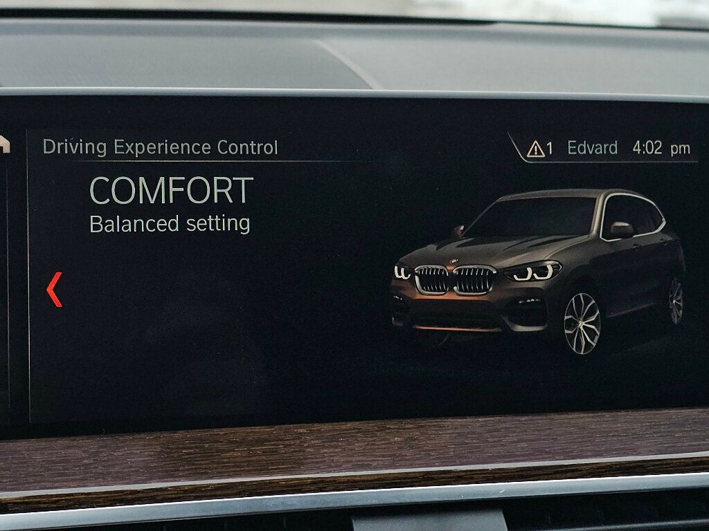 2019 BMW X3 xDrive30i Sports Activity Vehicle - 22981032 - 32