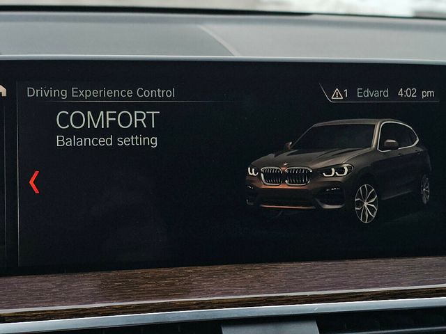 2019 BMW X3 xDrive30i Sports Activity Vehicle - 22981032 - 32